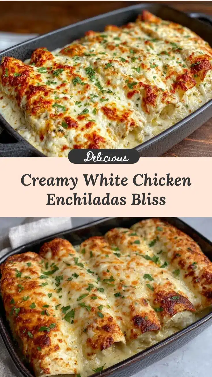 creamy white chicken enchiladas recipe