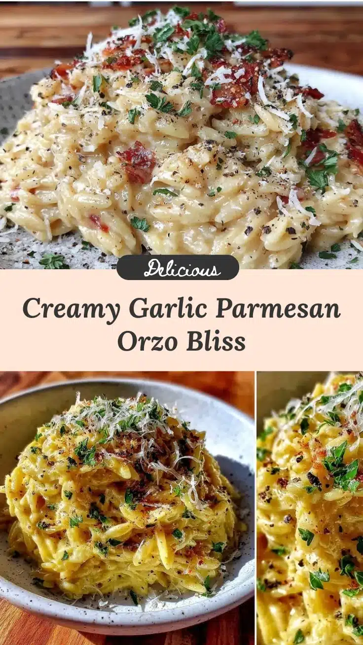 creamy garlic parmesan orzo recipe