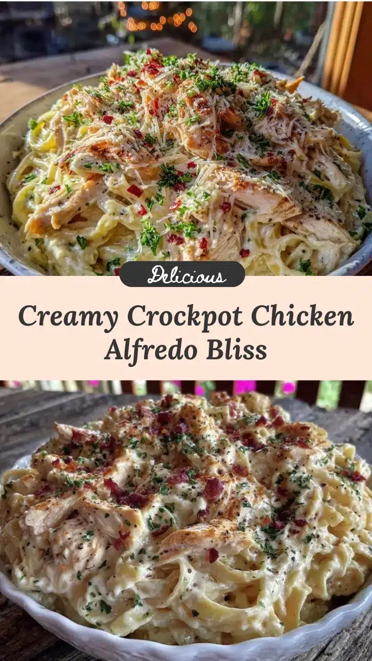 crockpot chicken Alfredo pasta recipe