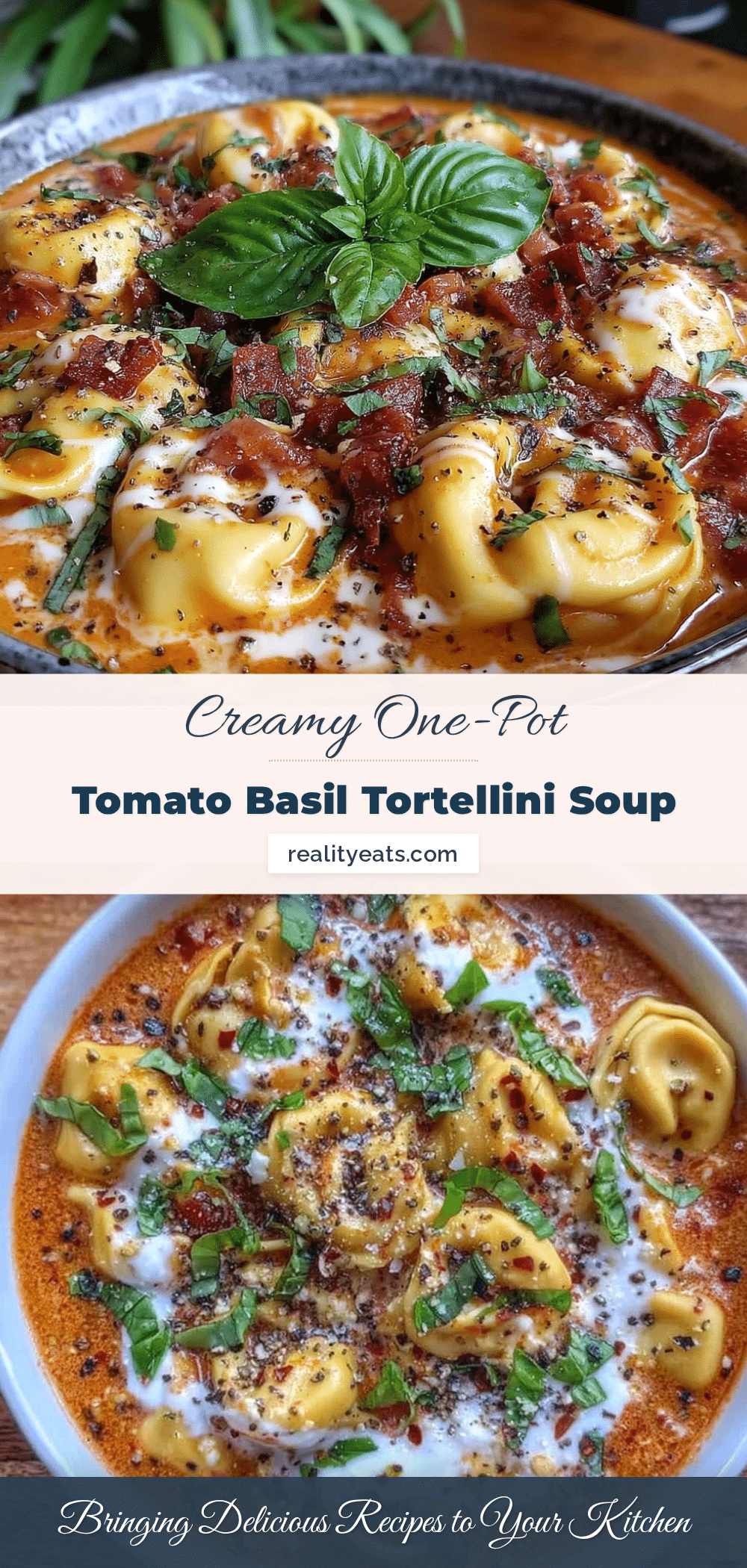 creamy one-pot tomato basil tortellini soup recipe