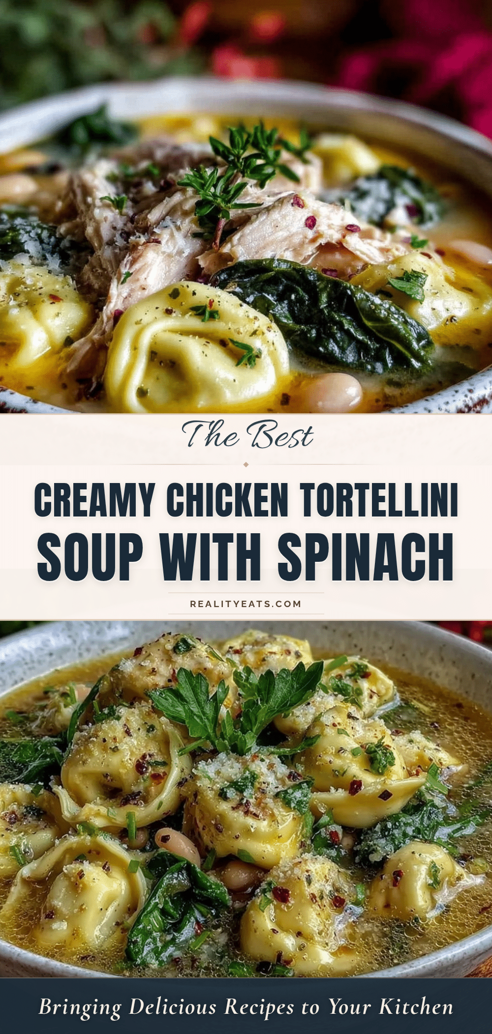 chicken tortellini soup recipe
