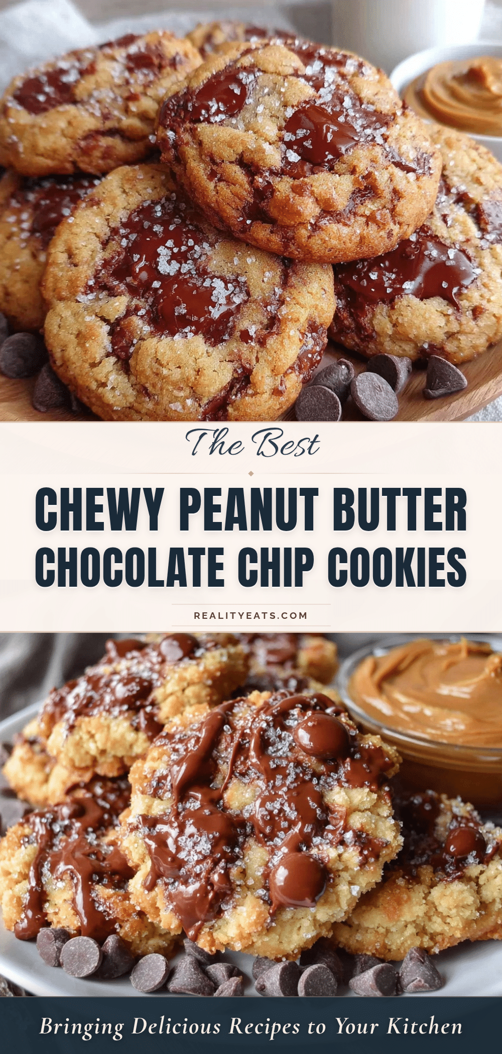 chewy peanut butter chocolate chip lunchbox cookies recipe